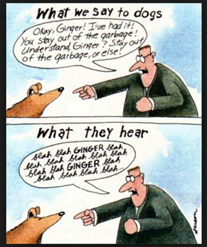 Contractingbusiness Com Sites Contractingbusiness com Files Uploads 2013 05 Far Side Cartoon