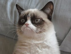 Contractingbusiness Com Sites Contractingbusiness com Files Uploads 2013 11 Grumpy Cat1 0 Contractingbusiness Com Sites Contractingbusiness com Files Uploads 2013 11 Grumpy Cat1 0