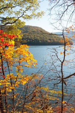 Contractingbusiness Com Sites Contractingbusiness com Files Uploads 2016 02 Rayston Lake Contractingbusiness Com Sites Contractingbusiness com Files Uploads 2016 02 Rayston Lake