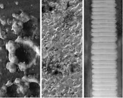 Www Contractingbusiness Com Sites Contractingbusiness com Files Three Types Of Bearing Damage 1 Www Contractingbusiness Com Sites Contractingbusiness com Files Three Types Of Bearing Damage 1