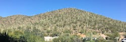 JW Marriott Starr Pass resort JW Marriott Starr Pass resort
