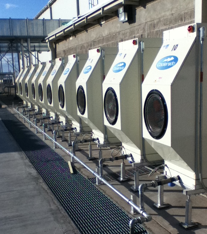 Coolerado M50 units lined up to serve the Kellogg39s facility