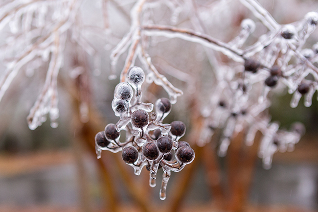 Southern HVAC contractors will be kept busy by the cold snap this week