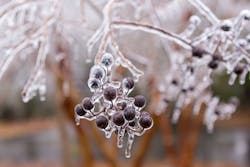 Southern HVAC contractors will be kept busy by the cold snap this week Southern HVAC contractors will be kept busy by the cold snap this week