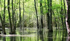 Contractingbusiness 4757 Swamp