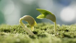 growth.jpg growth.jpg