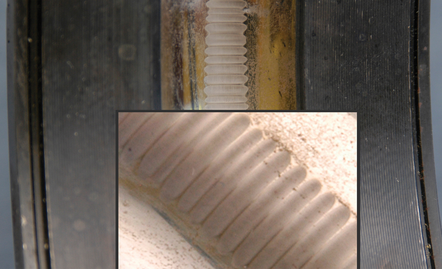 fluted bearing cropped