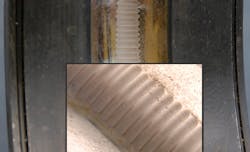 fluted bearing cropped fluted bearing cropped