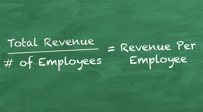 revenue per employee equation