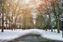 street in winter.jpg