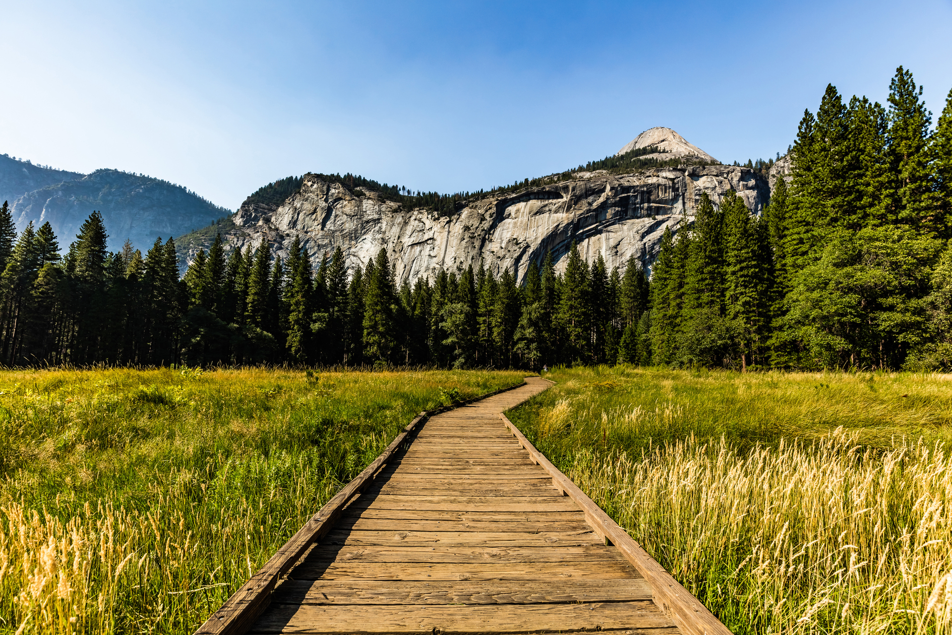 Nature Trail 5e4ef64363b65