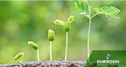 Green Sprouts 5e96023b35f64 Green Sprouts 5e96023b35f64