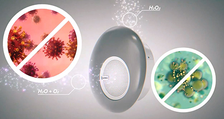 Synexis Diagram 6033cce8e815d