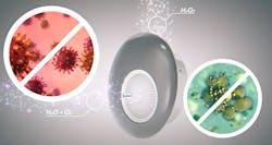 Synexis Diagram 6033cce8e815d Synexis Diagram 6033cce8e815d