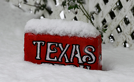 Texas Sign Snow 6033c6d142f16