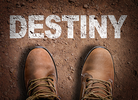 Destiny 605cd2573288a