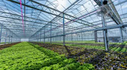 Greenhouse Rsi