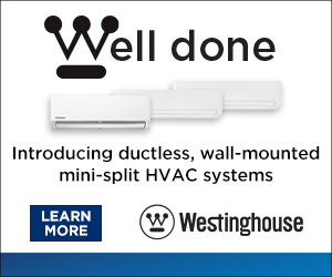 1642732616 3905 Fuj Westinghouse Welldonedigitalad Cont Biz 300x250 4 21 21 Pub002
