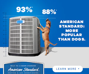 1649089676 Amsd Dog 300x250 June