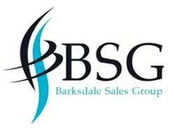 Bsg Logo