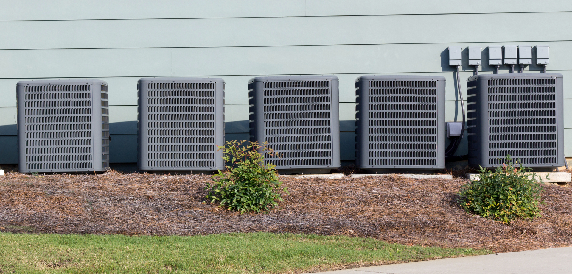 Ac 26516666 Redwood8 Dreamstime 63dd3f69774f5