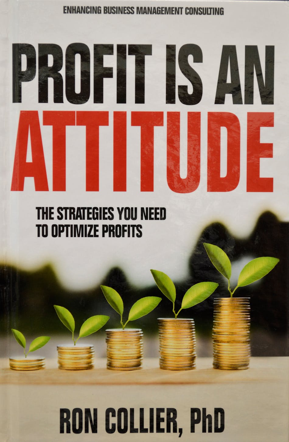 Profit Is An Attitude1