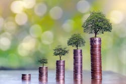 Money Trees Dreamstime L 110201628 (2) Money Trees Dreamstime L 110201628 (2)