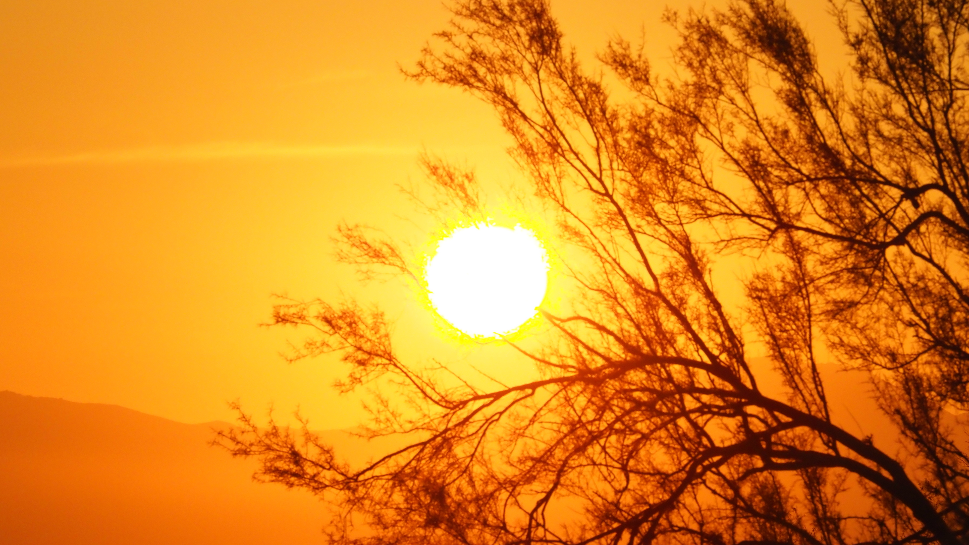 Desert Sun Dreamstime L 166335378 65049a3fc87cb