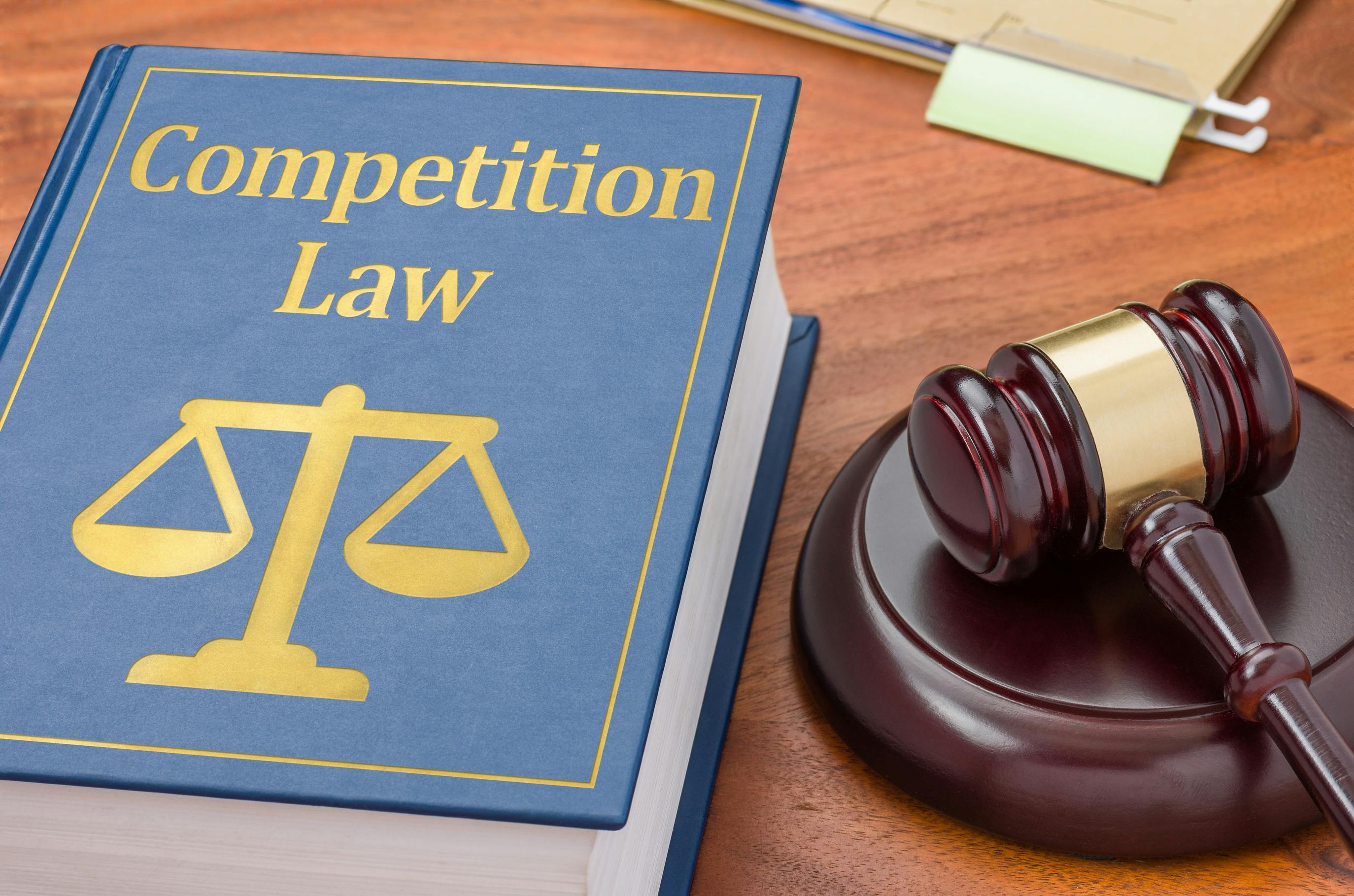 66295b6bbebaf8001e2a540a Competition Law