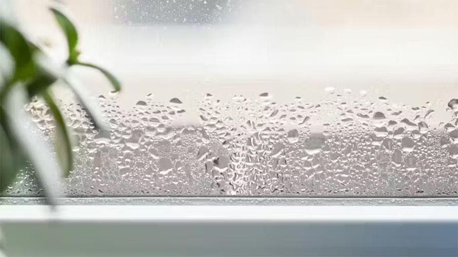 664caa37cea243331443982b New Humidity Photo