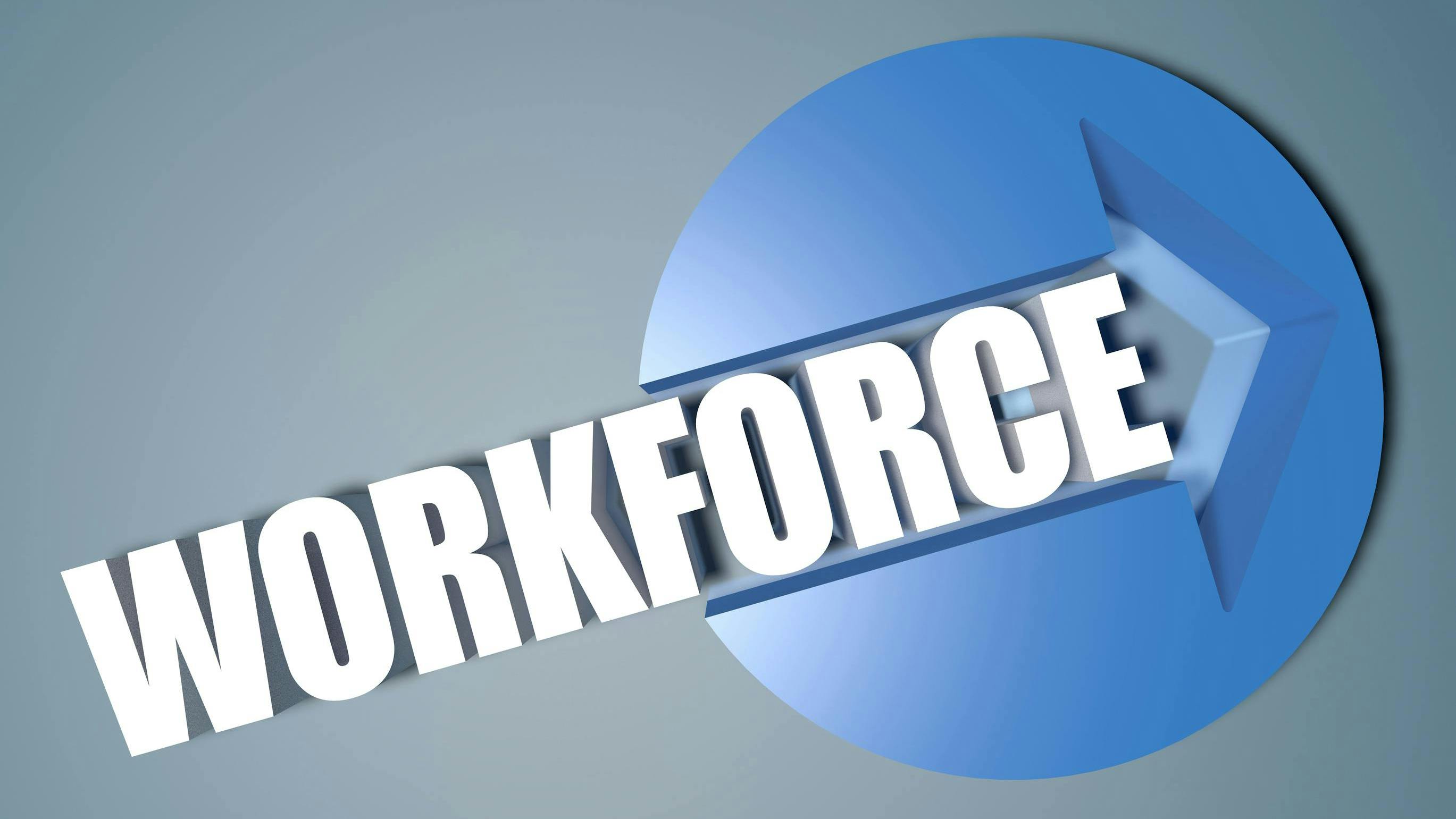 66a294c0df484cecc12ed37d Workforce