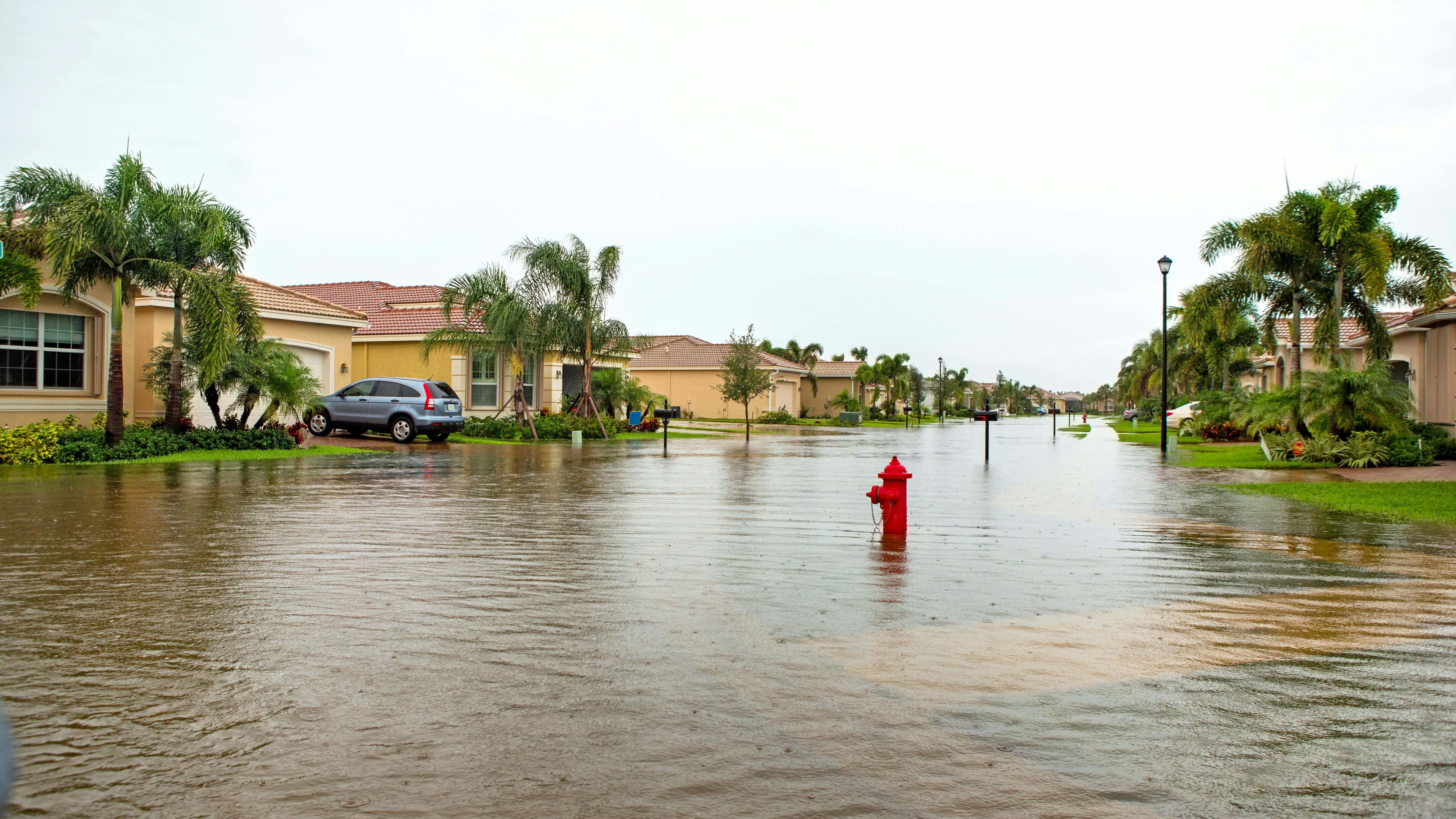670811cc29ed4759c8d4f20f Flooded Florida Neighborhood