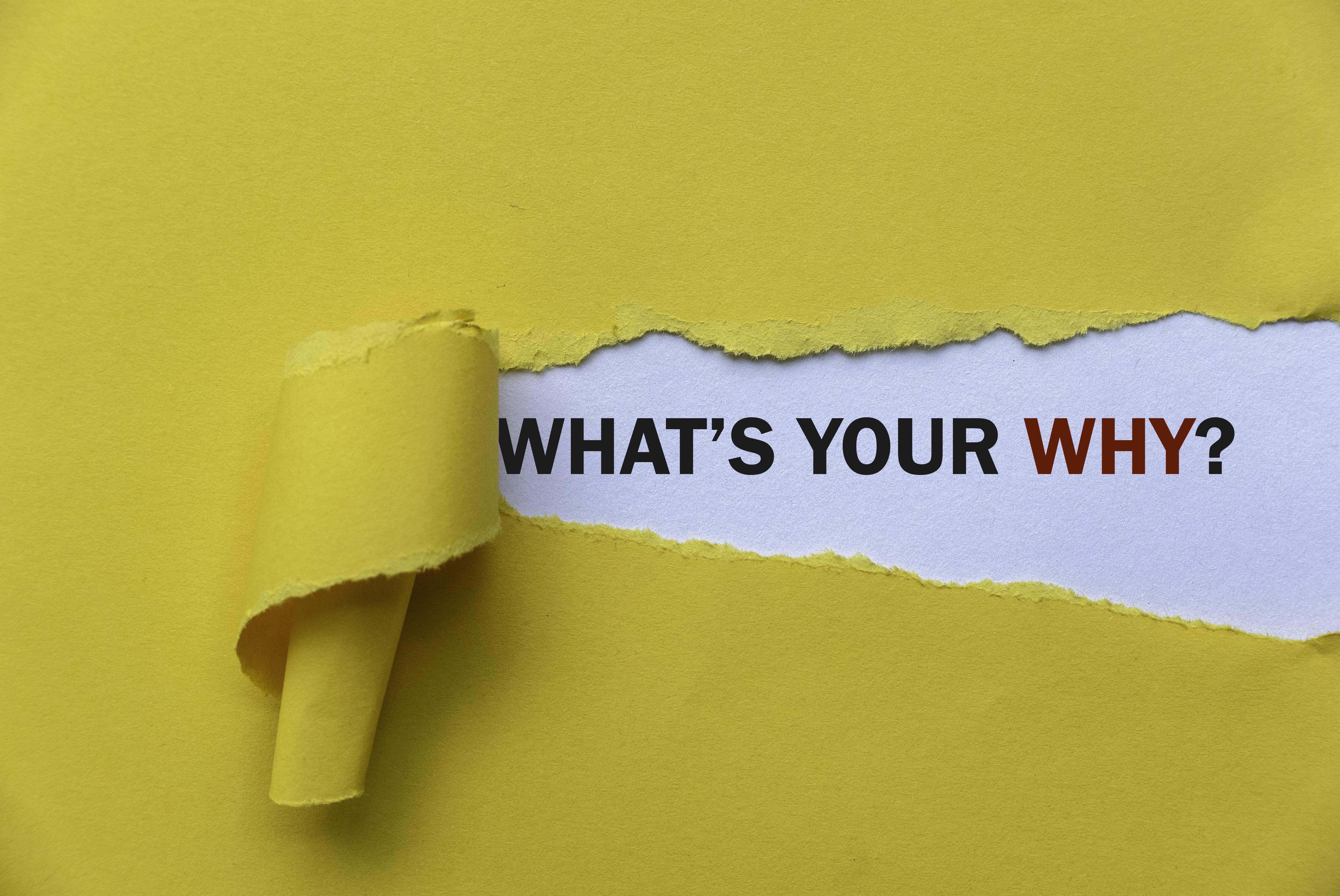 67d82e156430d3cb32d4fe20 Istock2193979440