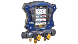 yellowjacket yellowjacket