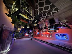 691736b818e07ba4315918cb Nttc1 691736b818e07ba4315918cb Nttc1