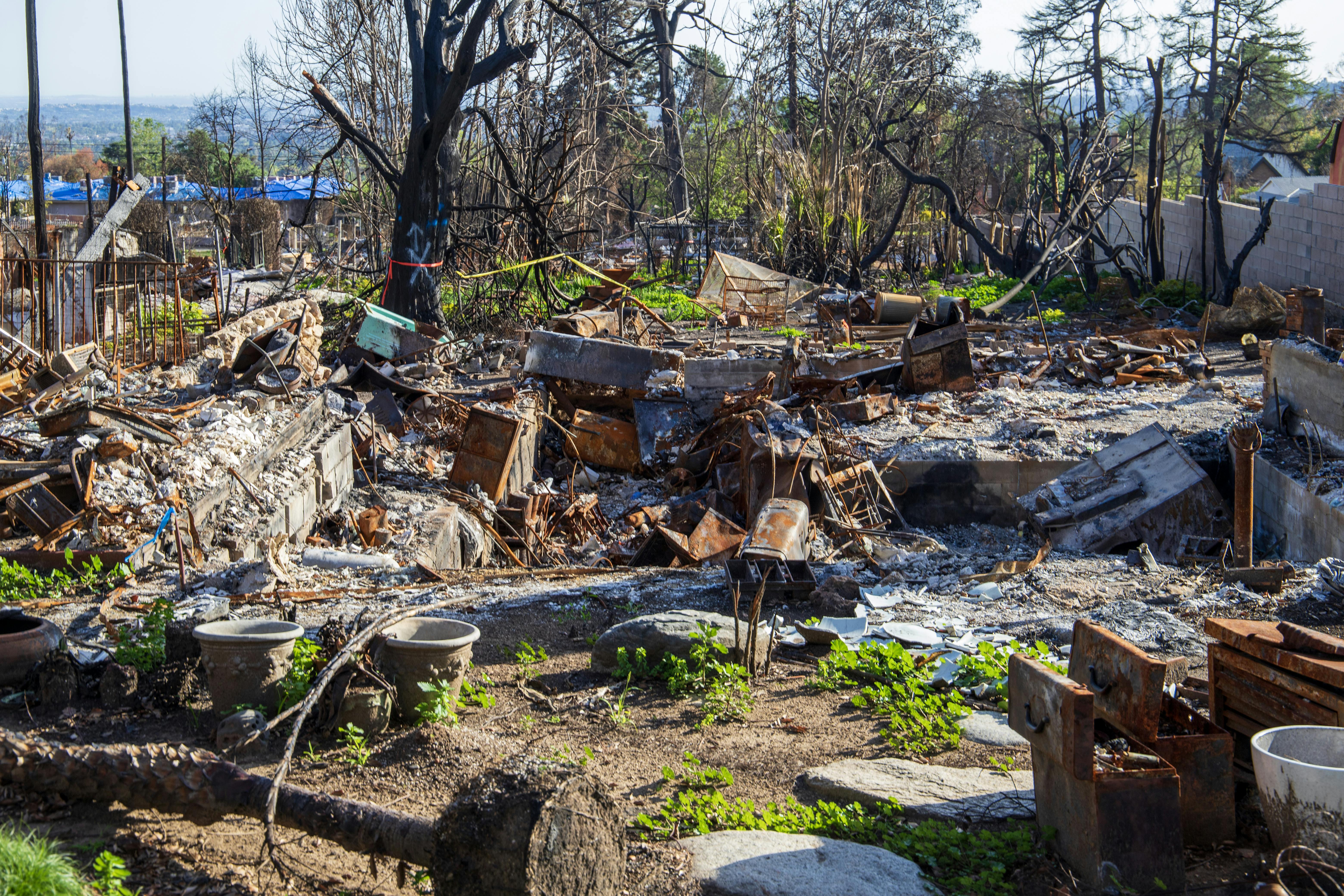 dreamstime_xxl_380535512