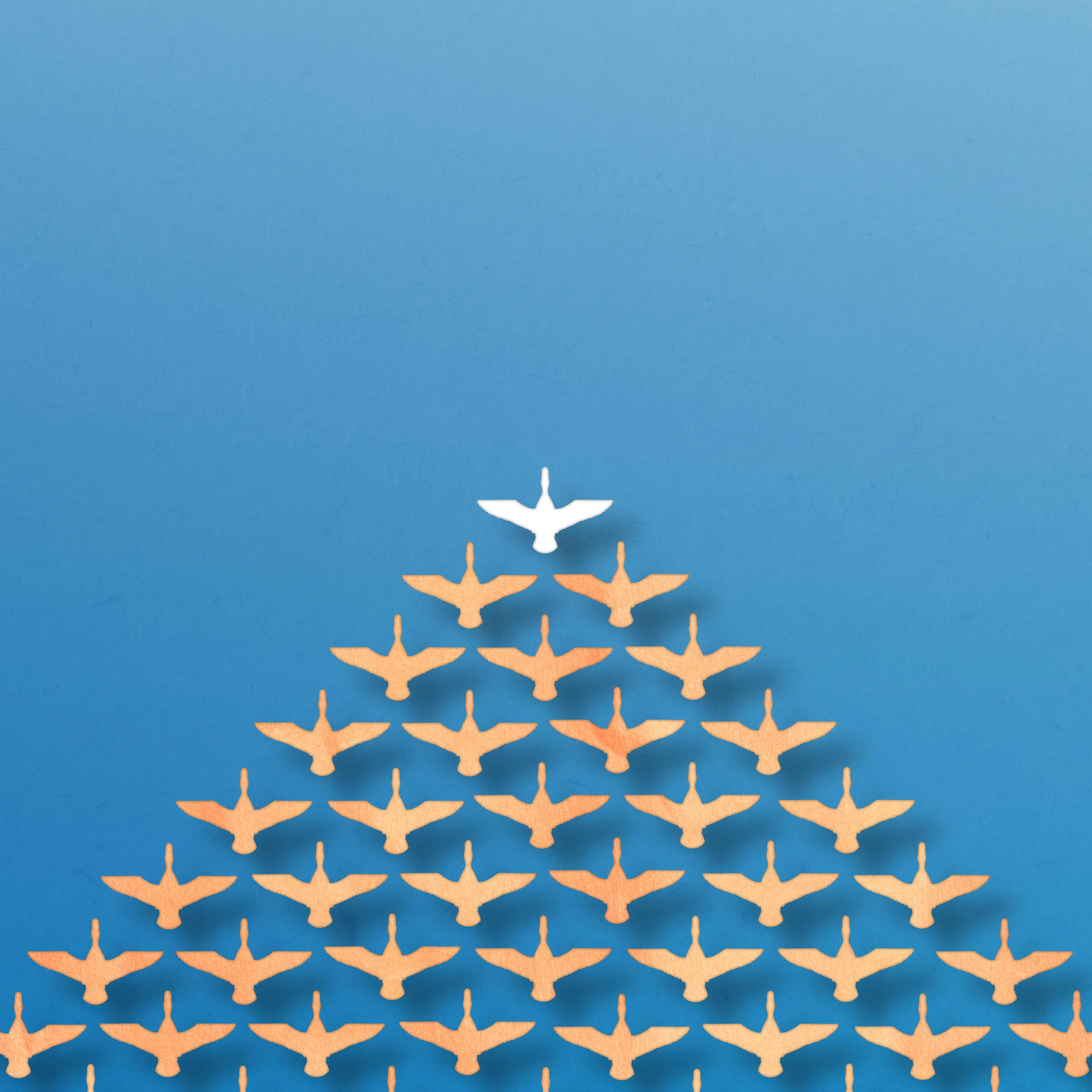 dreamstime_xxl_26253647