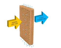 Adiabatic systems are highly effective in hot, dry environments, taking advantage of evaporative efficiency benefits while typically using less water than traditional evaporative equipment. Adiabatic systems deliver the required cooling capacity in a smaller footprint and/or help to reduce fan motor horsepower when compared to completely dry coolers.
